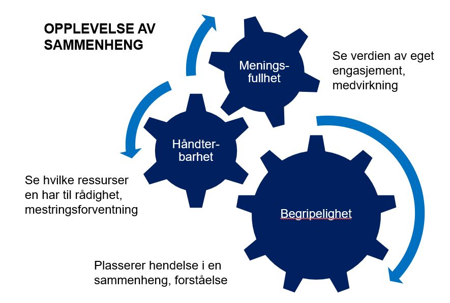 Helsefremmende Teori - SAMM